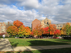 Corner Green by phil_dokas